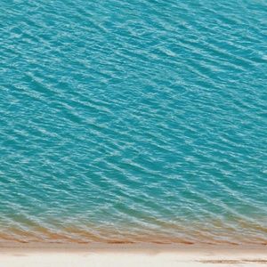 Meet your Posher, Ricky